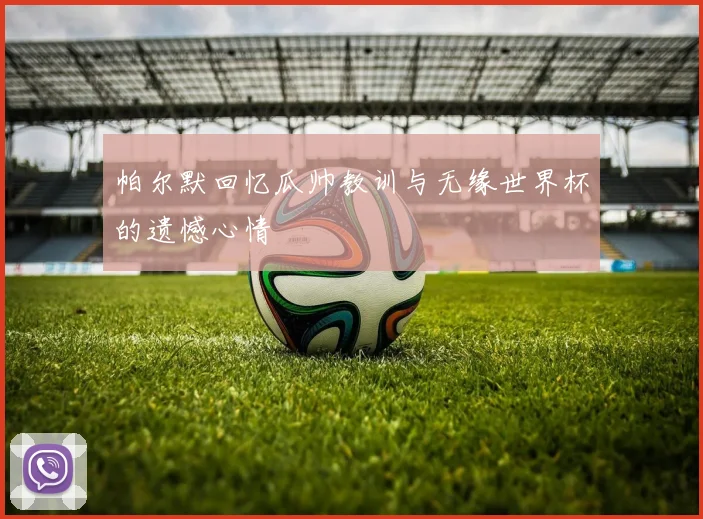 帕尔默回忆瓜帅教训与无缘世界杯的遗憾心情